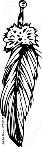 Hand drawn feather illustration on transparent background.