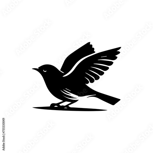 Birds silhouettes  on white background, vector illustration