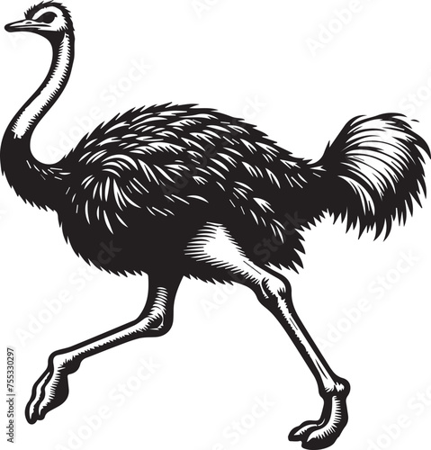 Elegant Ostrich Portrait: Vector Drawing