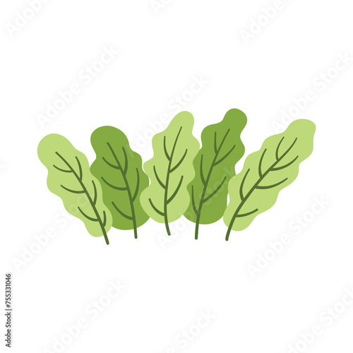 Green grass leaves. nature decoration vector