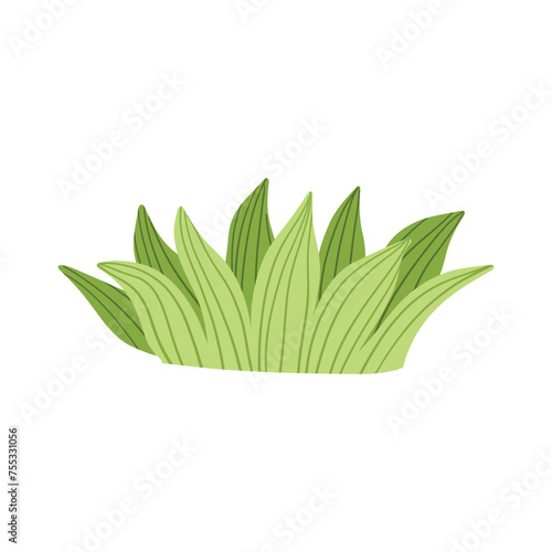 Green grass leaves. nature decoration vector