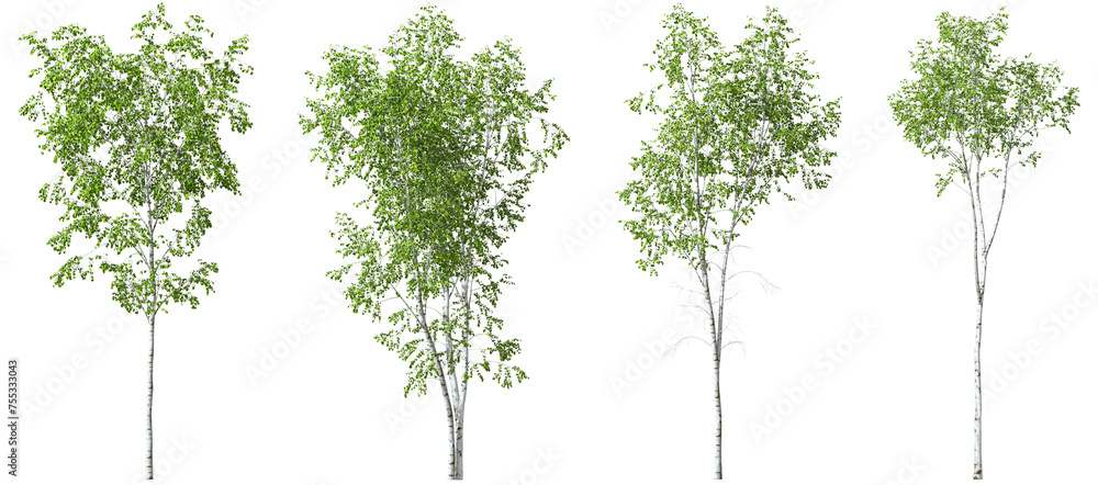 Fototapeta premium Tropics lush trees shapes for landscaped on transparent backgrounds 3d illustrations png
