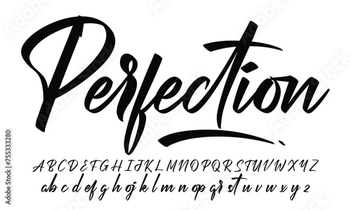 signature Font Calligraphy Logotype Script Brush Font Type Font lettering handwritten