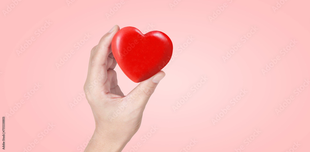 Hands holding red heart. heart health donation Hands holding red heart. heart health donation