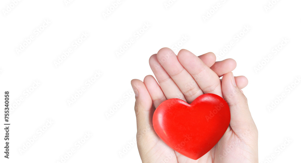 Obraz premium Hands holding red heart. heart health donation