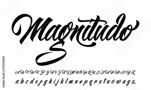 Best Alphabet Script Signature Logotype Font lettering handwritten