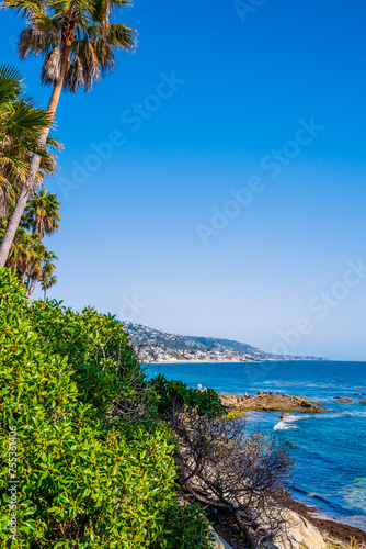 A beautiful overlooking view of nature in Laguna Beach, California