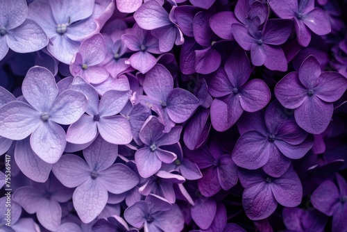 A dynamic blend from a bold purple to a muted violet, then transitioning to a pale lilac, evoking elegance and mystery
