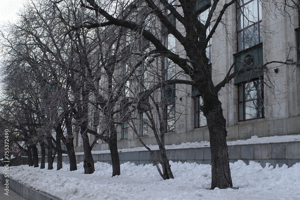 winter in the park winter in the park