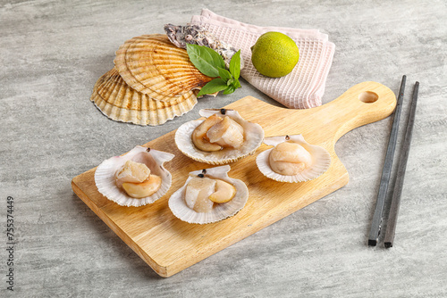 Raw natural scallop in its shell