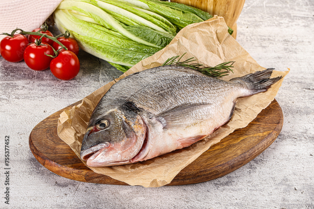 Raw dorada fish served rosemary