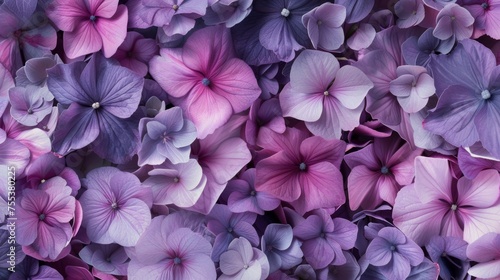 Design a vibrant floral background filled with lush petals in various shades of purple, capturing their natural fragrance and beauty. The texture should be rich and detailed, AI Generative © sorapop
