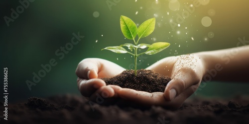 Hands holds small green plant seedling , copy space , sustainability concept