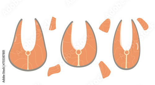 Salmon steak set. Red fish pieces. Healthy food Vector flat illustration isolated on white background