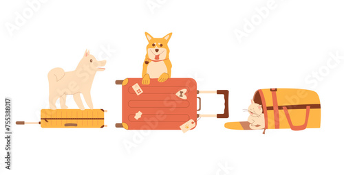 Pets travel set. Trip with cats and dogs. Transportation bag carrier, baggage and domestic animals. Vector illustration