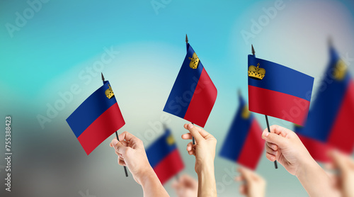 A group of people are holding small flags of Liechtenstein and Tobago in their hands.