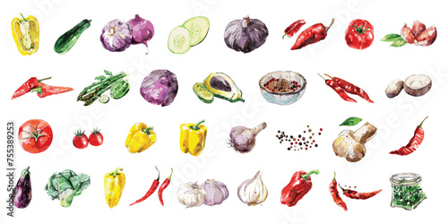 Watercolor drawing of various vegetables and spices, including tomatoes, peppers, and onions. Concept of abundance and variety, showcasing the diverse range of ingredients that can be used in cooking