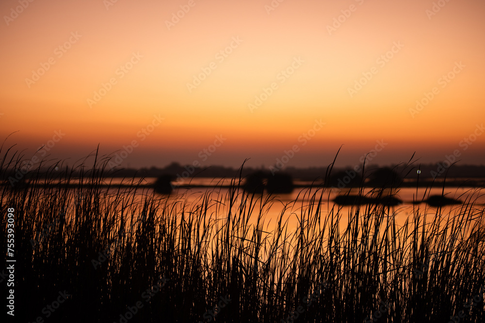Sun rises beyond the shores of a small pond with eerily still water and silhouette of grass and small water trees and bushes. 