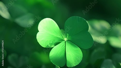 The iconic fourleaf clover is a common symbol associated with holiday and youll likely see it incorporated in everything from tshirts to banners to decorations. photo