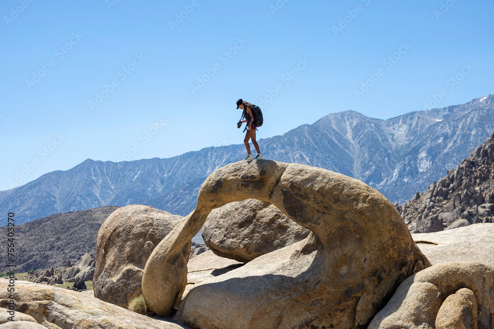 camel in the mountains