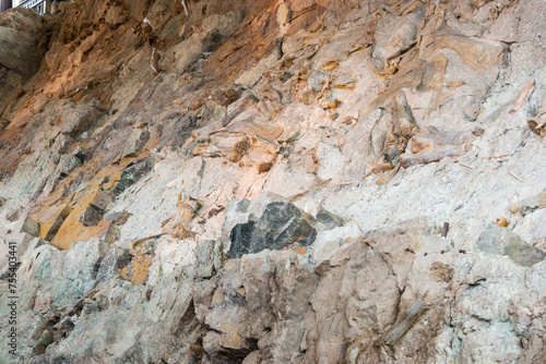 Fossils at Dinosaur National Monument