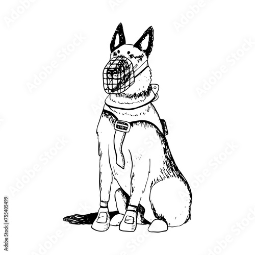 K9 sitting dog of German shepherd or belgian malinois in muzzle and vest vector illustration. Ink drawing of military guard dog for Veteran day designs