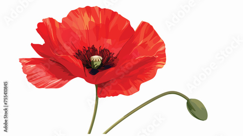 poppy vector flat vector isolated on white background photo