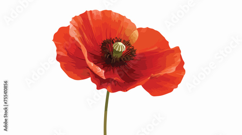 poppy vector flat vector isolated on white background