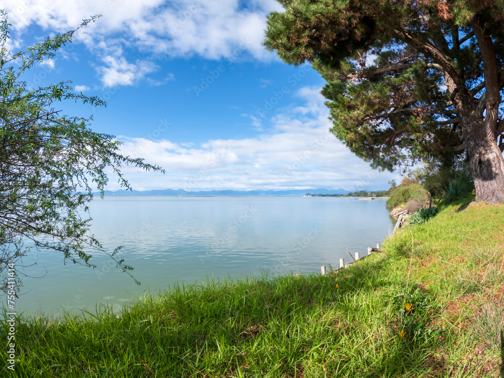 Naklejka premium Motueka Beach Reserve Landscape with green native plants and blue sea water, Motueka, New Zealand