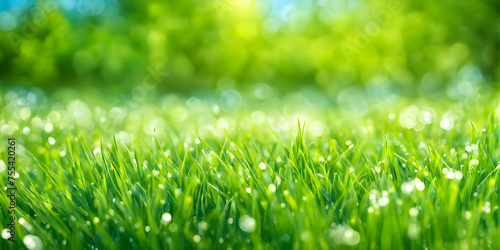 Neatly Trimmed Lawn with Blue Sky