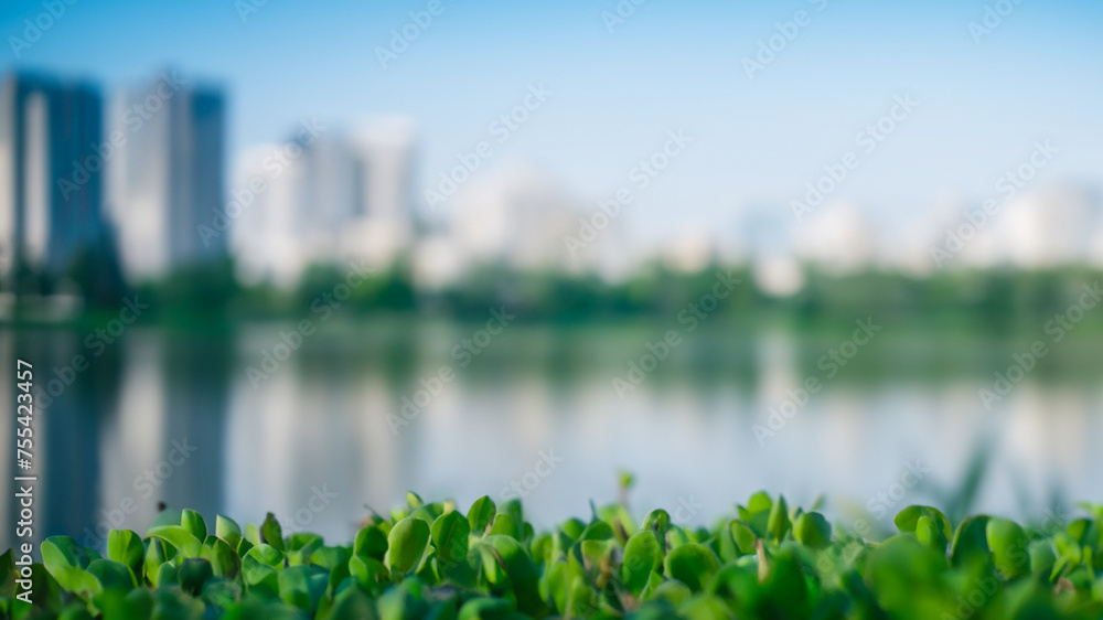 Blackground blur landscape Blackground blur landscape