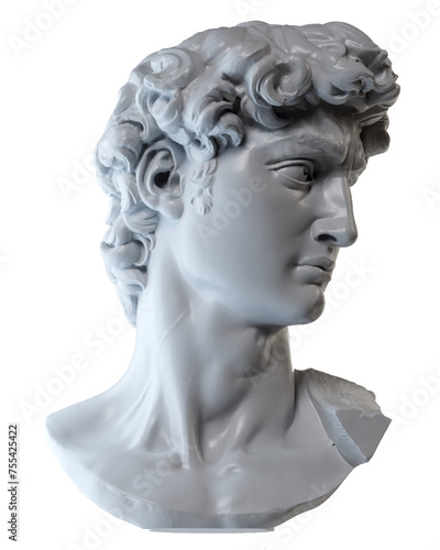 3d rendering - David's head, a sculpture made by Michelangelo (ID: 755425422)