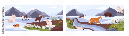 Tundra wild animals and plants on nature landscape with mountains and river vector set, Northern taiga flora and fauna