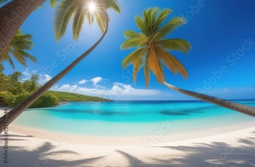 Summer background  tropical island with palm trees