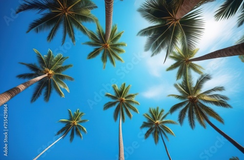Summer background, tropical island with palm trees
