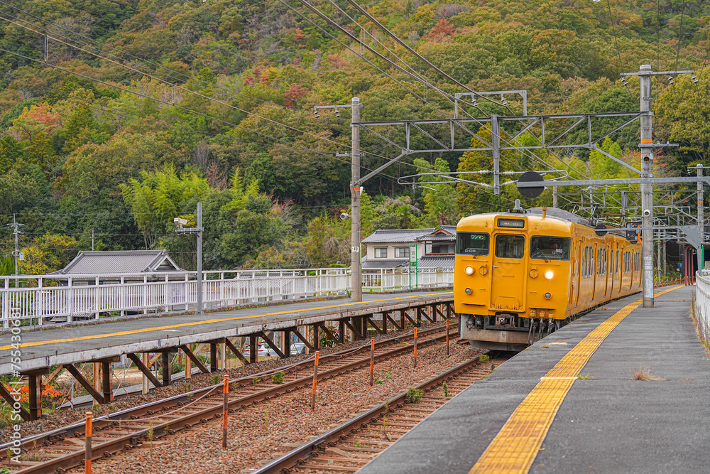 Naklejka premium １１５系