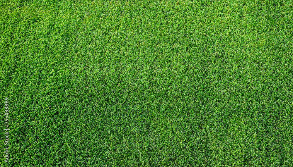 green grass background soccer field green grass artificial turf texture top view, light and shadow, wallpaper nature - obrazy, fototapety, plakaty 