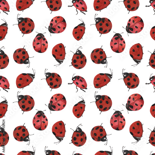 Pattern red beetle with white dots, insect, ladybug, watercolor illustration isolated on a white background