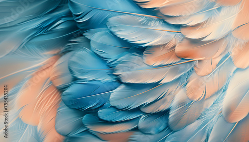 Abstract feather texture in blue and orange tones