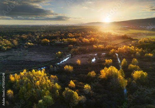 Nice aerial view of yellow tree on dramatic sunset over bog Jursky Sur, Slovakia