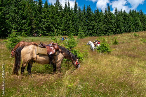 Horseback riding in the carpathian landscape © hecke71