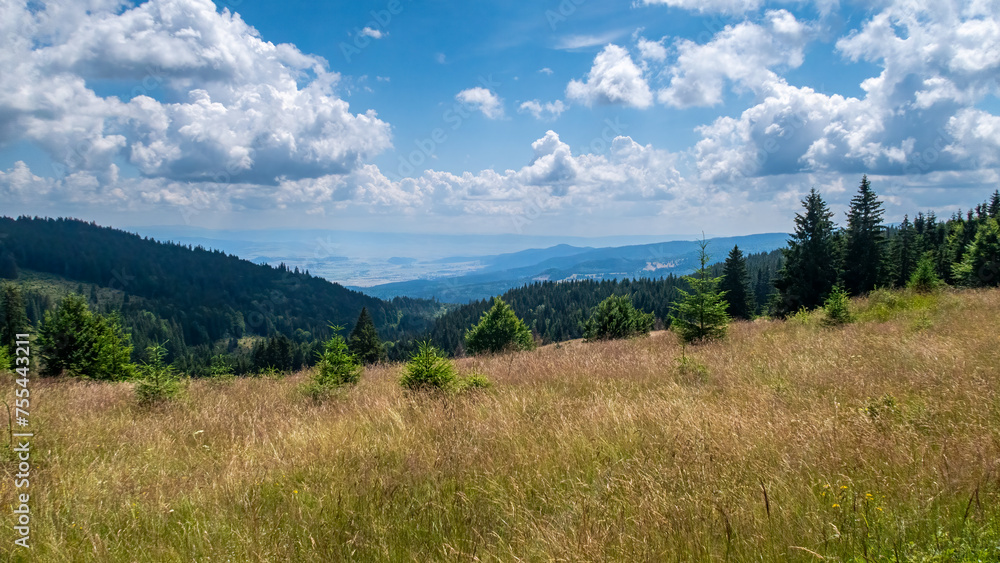 The Landscape of the Carpathian Mountains in Romania
