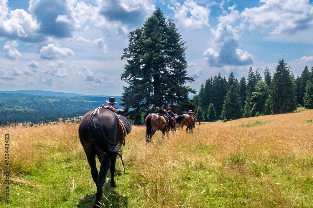 Horseback riding in the carpathian landscape Horseback riding in the carpathian landscape