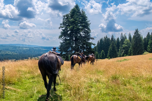 Horseback riding in the carpathian landscape © hecke71