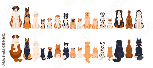 Dogs border, front and back rear views, tails. Canine animal breeds in line, sitting in row. Many different doggies, cute puppies. Flat graphic vector illustration isolated on white background