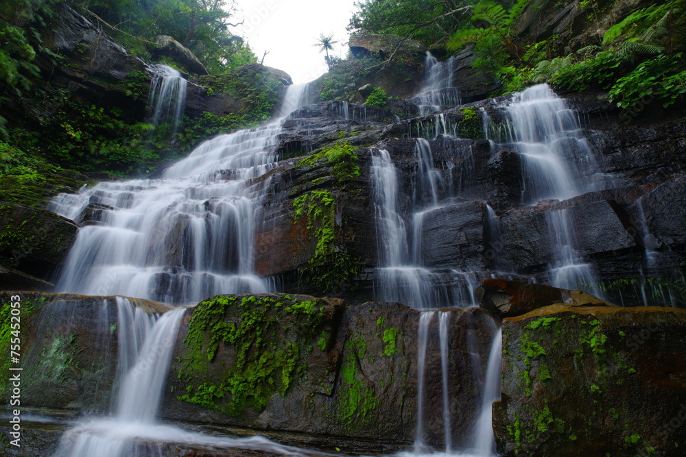 Obraz premium 沖縄県西表島 ゲータの滝