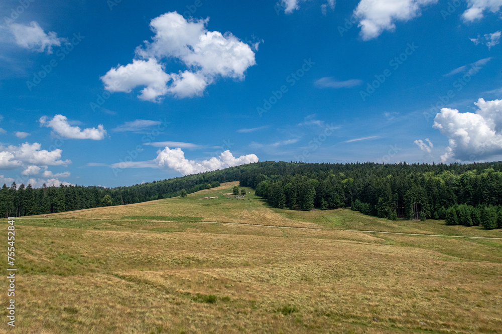 The Landscape of the Carpathian Mountains in Romania
The Landscape of the Carpathian Mountains in Romania