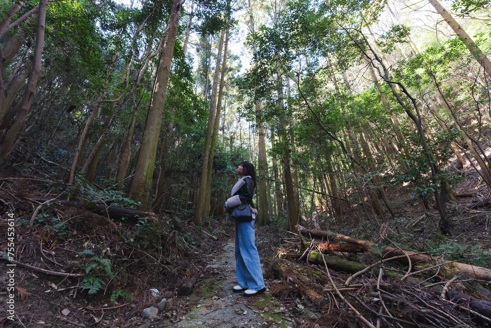 山を散策する女性 山を散策する女性
