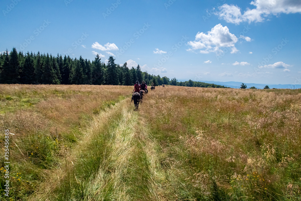 Horseback riding in the carpathian landscape Horseback riding in the carpathian landscape