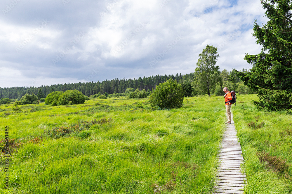 Senior man hiking in green meadow under cloudy sky Senior man hiking in green meadow under cloudy sky